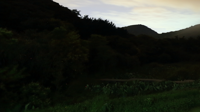 6D 雜訊分布怪異