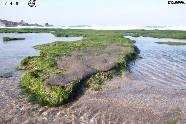 【北台灣行】北海岸.北橫公路(2014.1.19~01.25)-Day 1
