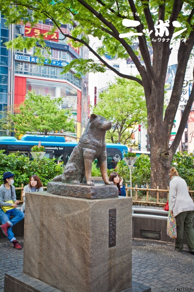2014東京七天六夜自由行