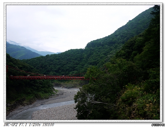 suzuki address 跳過開箱上山試騎