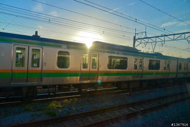 d800+24-120mm東京之旅