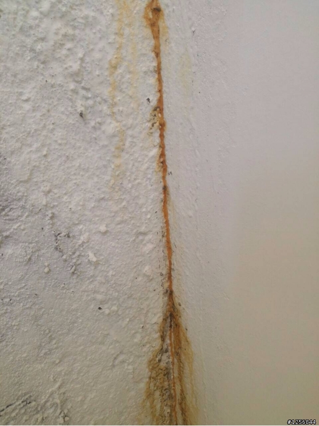 請問這是怎樣子的漏水?