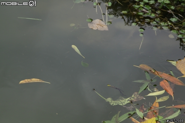 [開箱] 公園遊樂趣之Kenko Zeta EX CPL偏光鏡分享