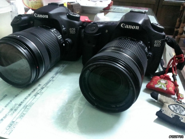[70D開箱]學長們好!新手入坑，文長!!附費茲洛公園實拍