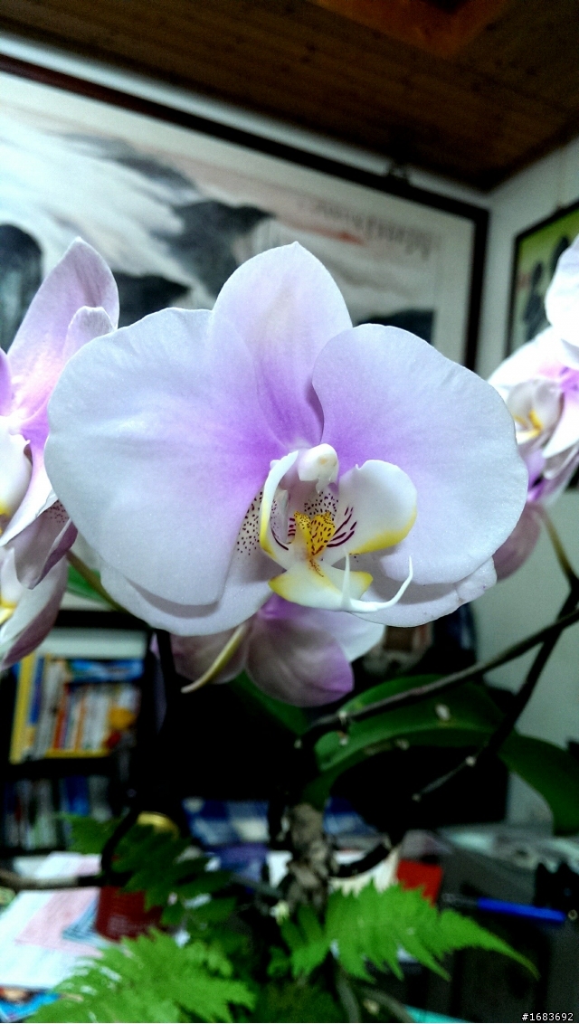 HTC ONE M7 隨手拍