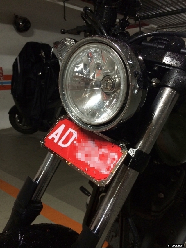 分享：BOLT 950 不銹鋼 前車牌架