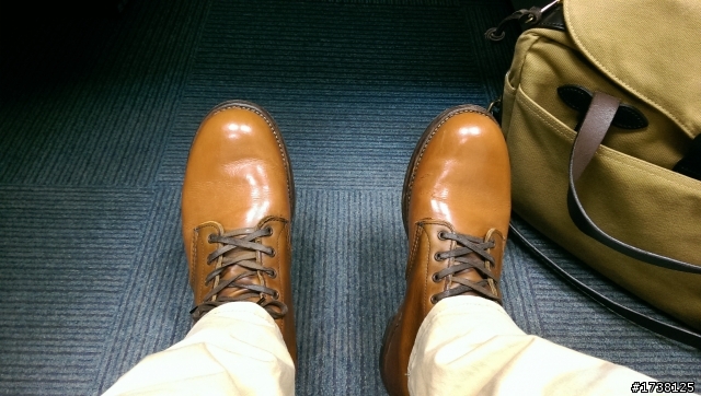 [重新染色] Two tone Red wing 9013