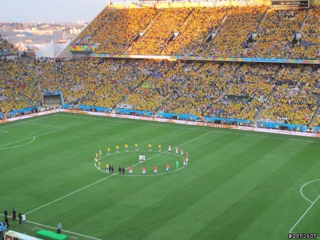 分享巴西世足球場 + 野生前世足球員Roberto Carlos