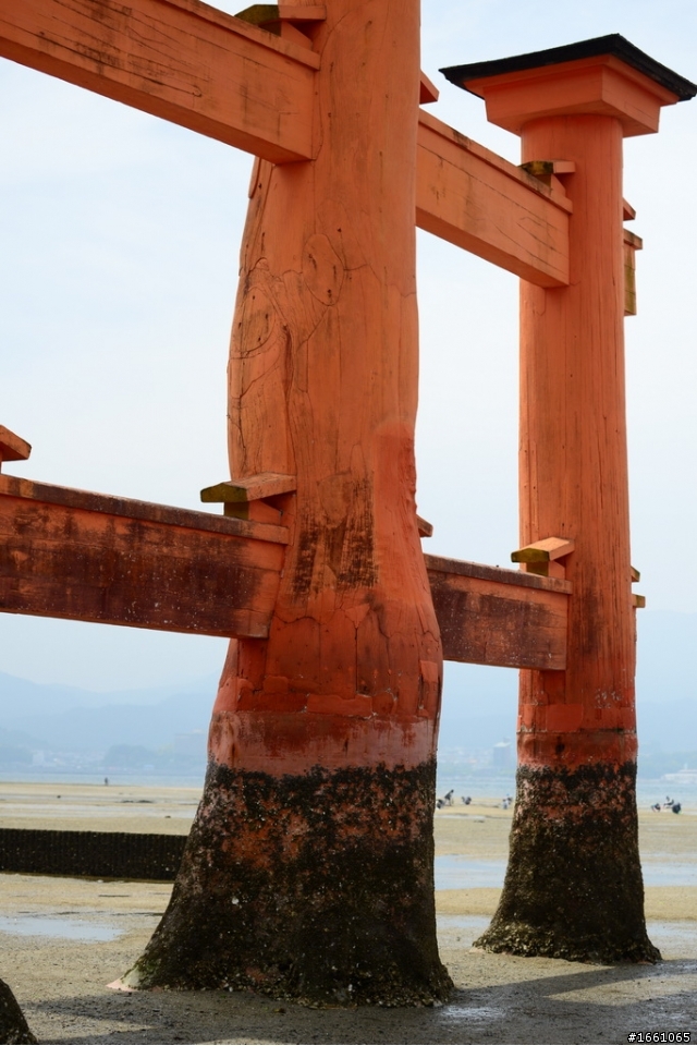 D800E 韓國 日本跨國13天 自助行 下篇 日本版