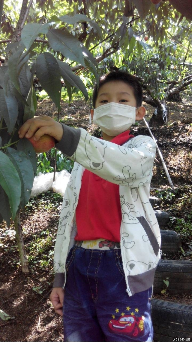 拉拉山水蜜桃