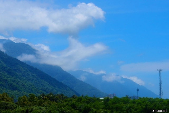 花東慢遊.......................