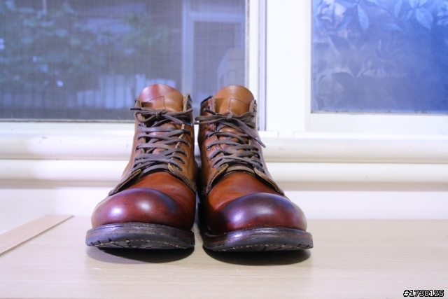 [重新染色] Two tone Red wing 9013