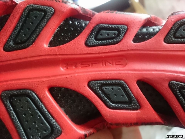 Under Armour Spine Rebel Storm開箱