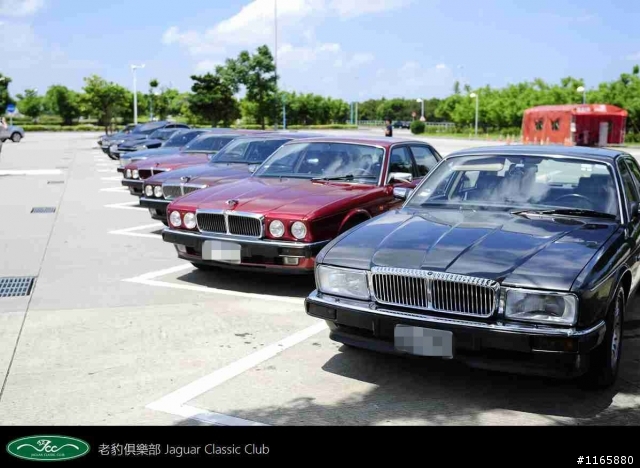 老豹俱樂部車聚照片分享