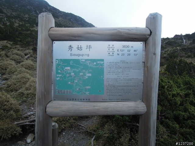 2014_初夏  南二段~亂亂走~