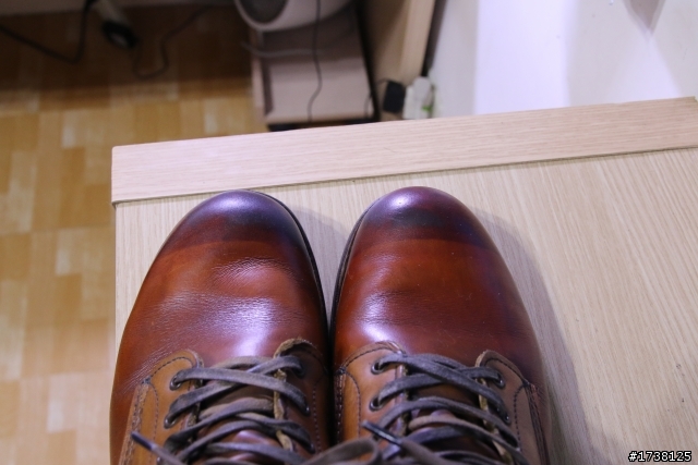 [重新染色] Two tone Red wing 9013
