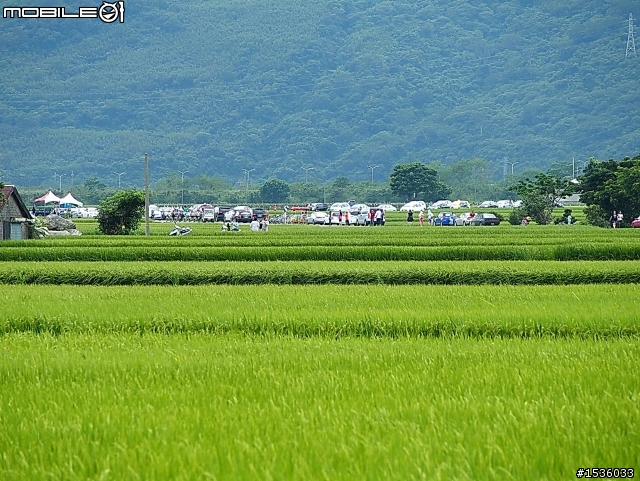 MPV加92無鉛，高雄伯朗大道來回，油耗每公升9.8公里。