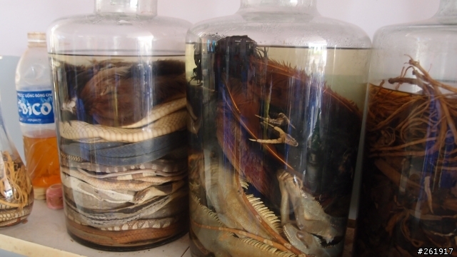 越南保身藥酒  你敢喝哪一種??