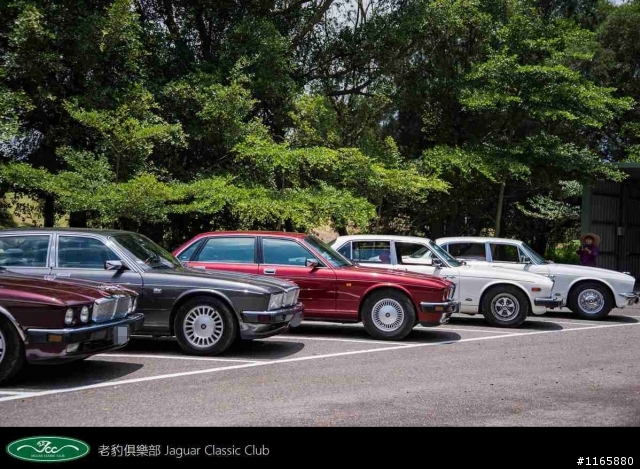 老豹俱樂部車聚照片分享