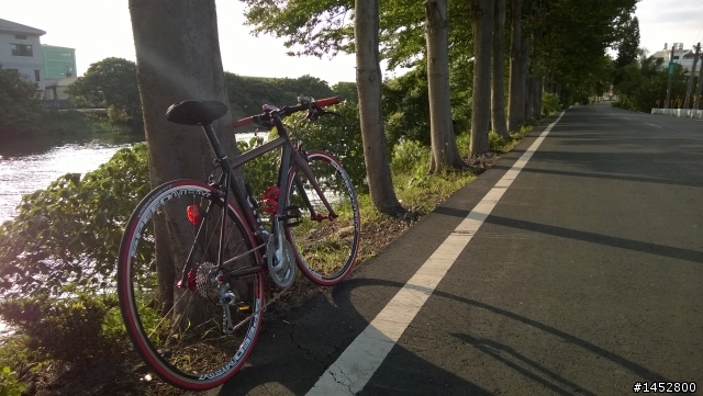 卜赫馬 BRAVE 平把公路車 之 沒箱子的開箱兼落土