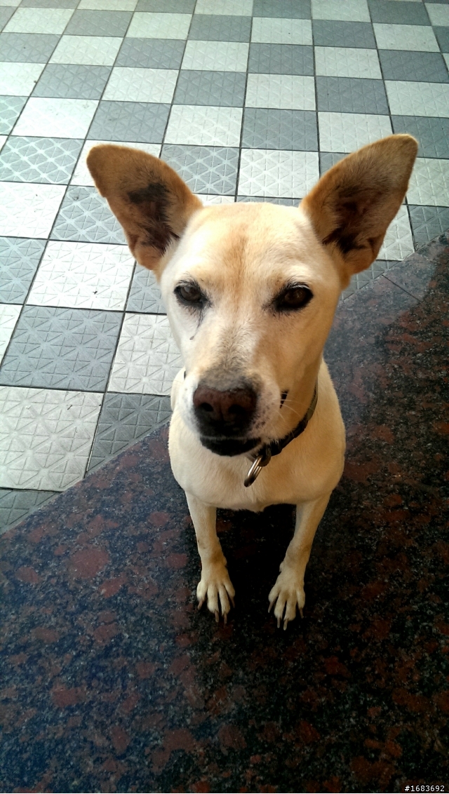 HTC ONE M7 隨手拍