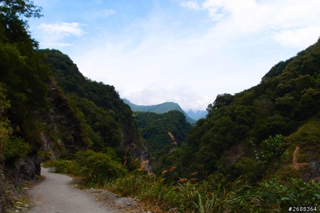 花東慢遊.......................