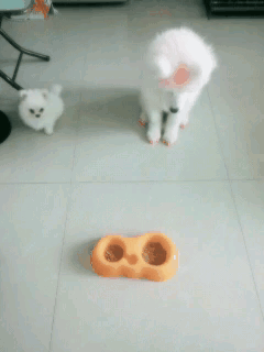 過期麵包還可以吃嗎