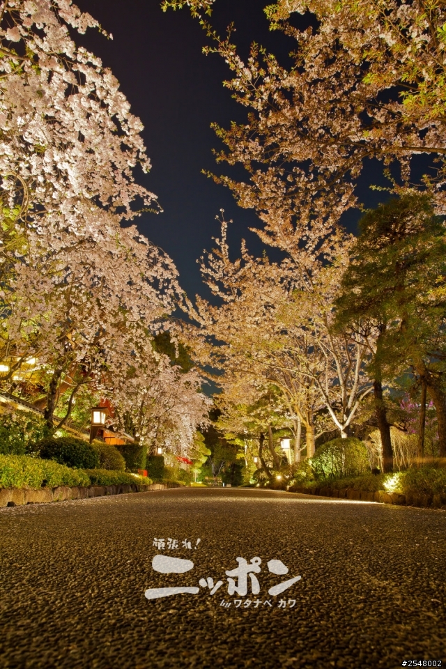 2014東京七天六夜自由行