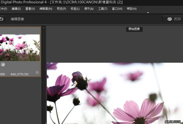 DPP 4.0 簡體中文 WIN版安裝方式