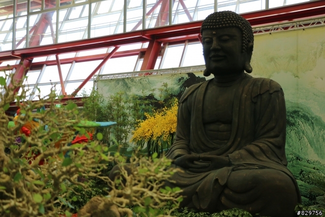 [70D開箱]學長們好!新手入坑，文長!!附費茲洛公園實拍