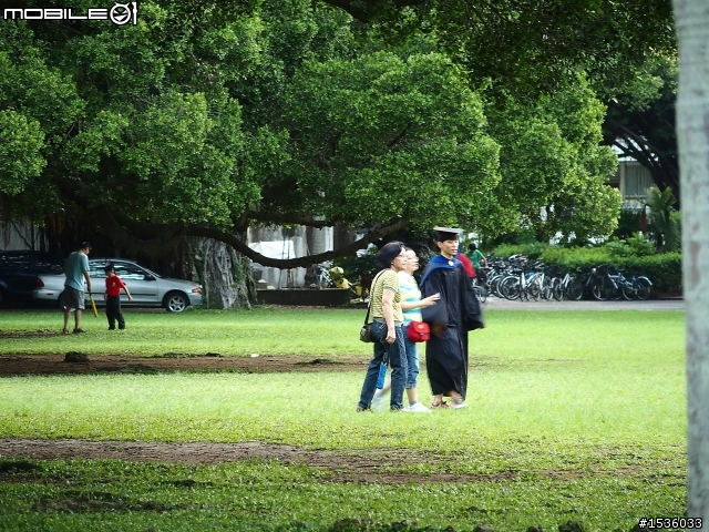 成大榕園下、成功湖畔驪歌輕輕唱