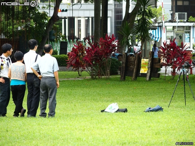 成大榕園下、成功湖畔驪歌輕輕唱