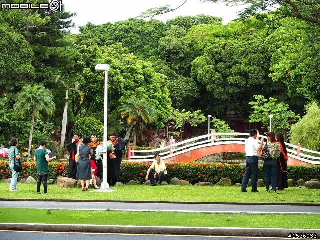成大榕園下、成功湖畔驪歌輕輕唱