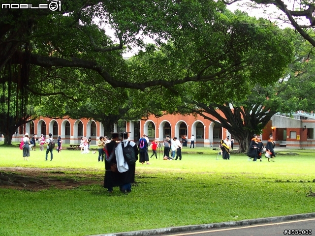 成大榕園下、成功湖畔驪歌輕輕唱