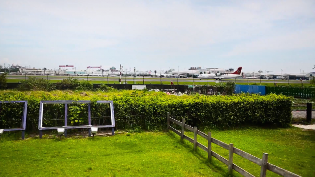 【遇見Traveler so fun】約會地點口袋名單～天啊超萌草泥馬就在高雄淨園！