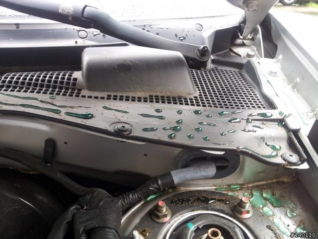 蟻族入侵汽車引擎 怎麼辦 Mobile01