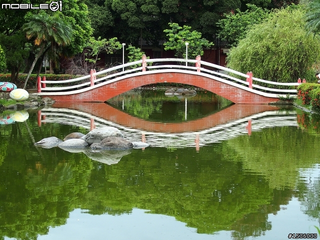 成大榕園下、成功湖畔驪歌輕輕唱