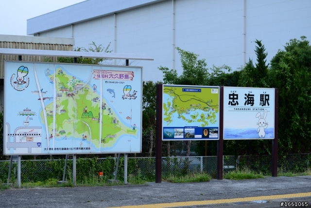 D800E 韓國 日本跨國13天 自助行 下篇 日本版