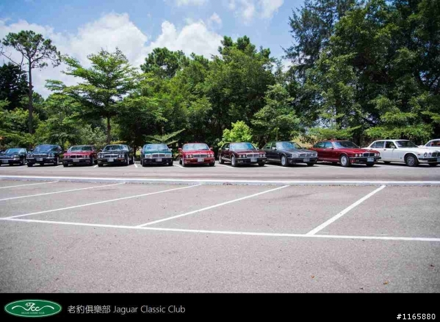 老豹俱樂部車聚照片分享