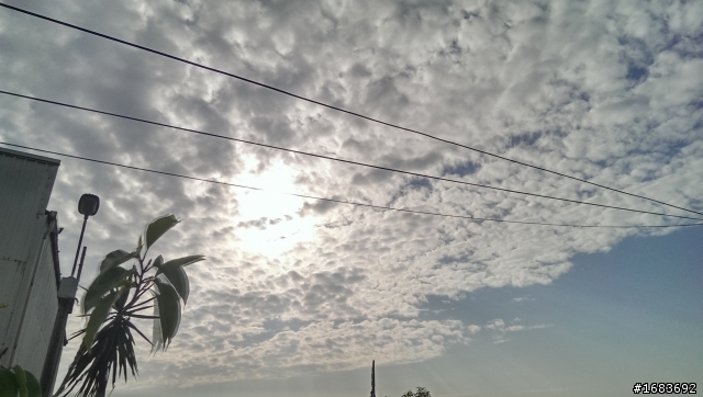 HTC ONE M7 隨手拍