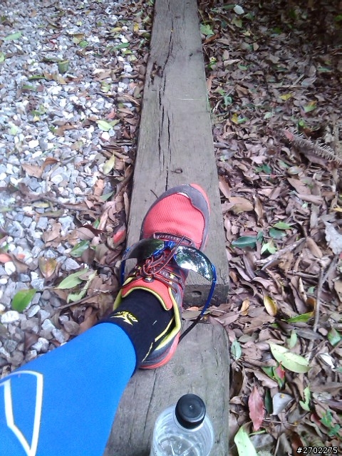 Merrell Allout Fuse 鞋測與越野跑經驗分享