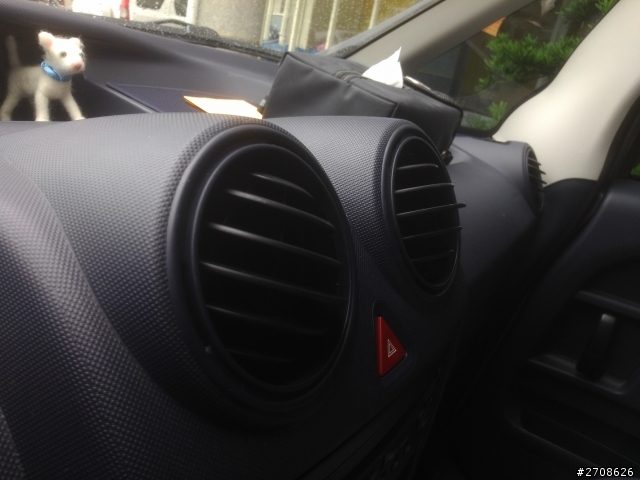 第N手的1007車主報到