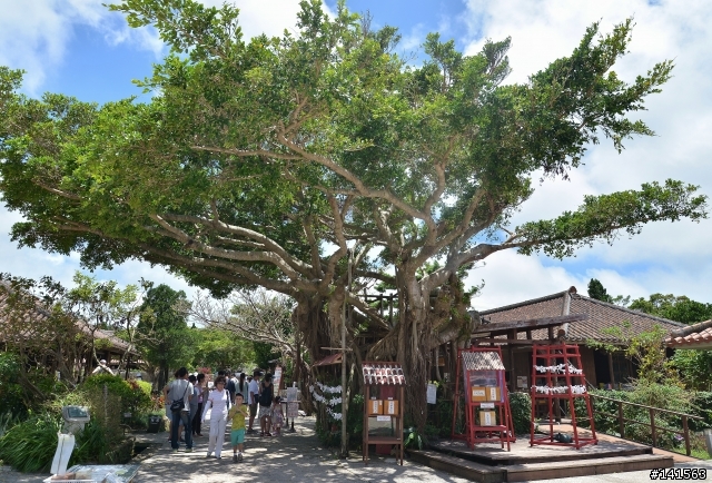 D600 沖繩自由行(圖多慎入)
