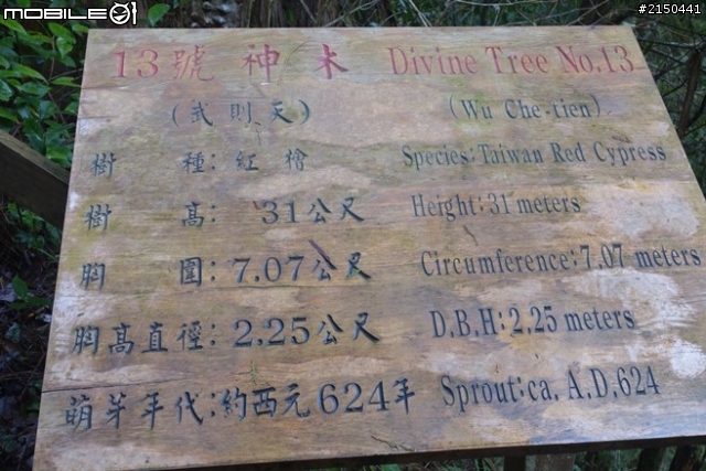 【北台灣行】北海岸.北橫公路(2014.1.19~01.25)-Day 4