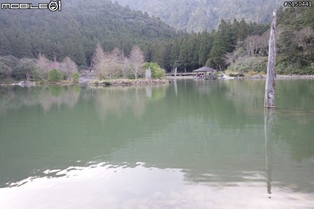 【北台灣行】北海岸.北橫公路(2014.1.19~01.25)-Day 5