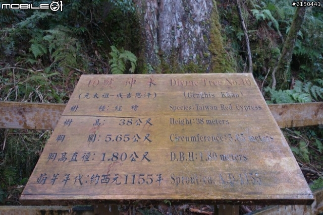 【北台灣行】北海岸.北橫公路(2014.1.19~01.25)-Day 4