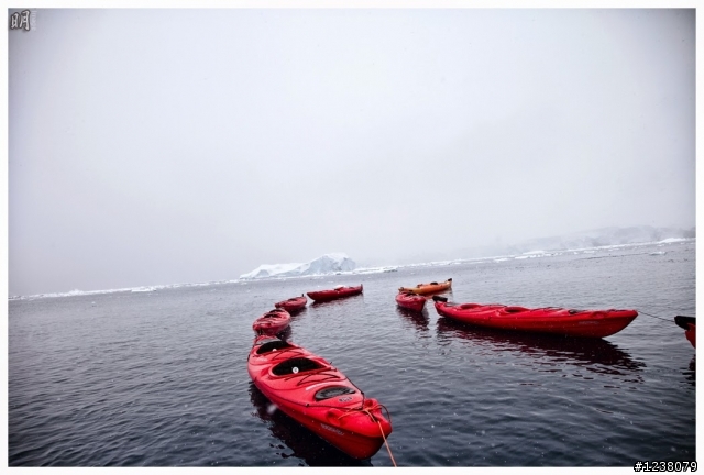 2013 Antarctica 南極