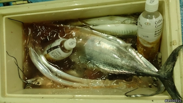 2014-7-3 船釣收穫