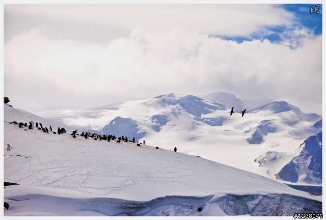 2013 Antarctica 南極