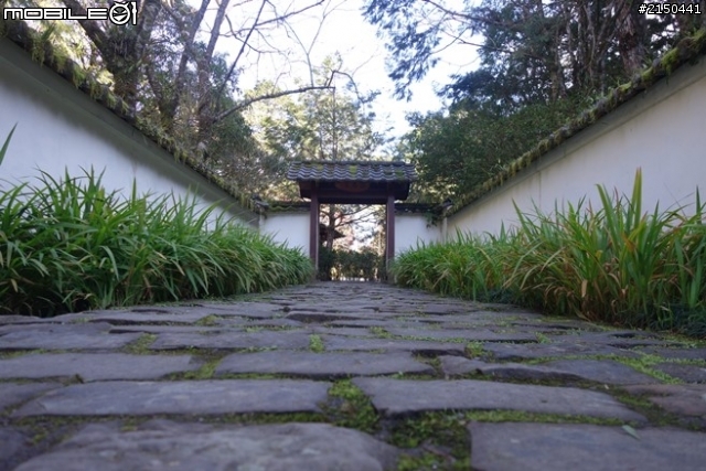 【北台灣行】北海岸.北橫公路(2014.1.19~01.25)-Day 5